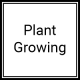 Plant Growing (76)