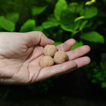 Proflora 7 Balls