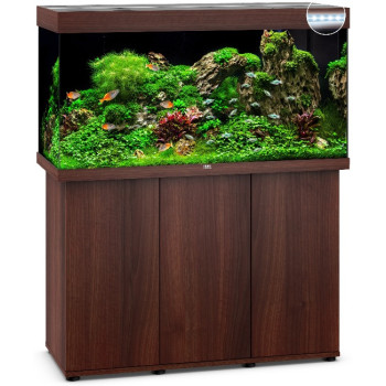 Rio 350LED