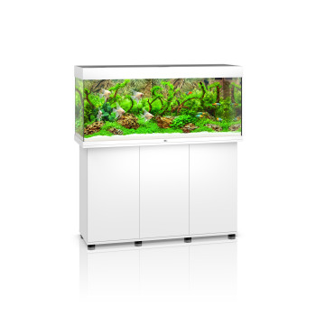 Rio 240LED