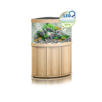 Trigon 190LED