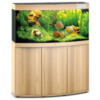 Vision 260LED