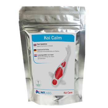 Koi Care Koi Calm